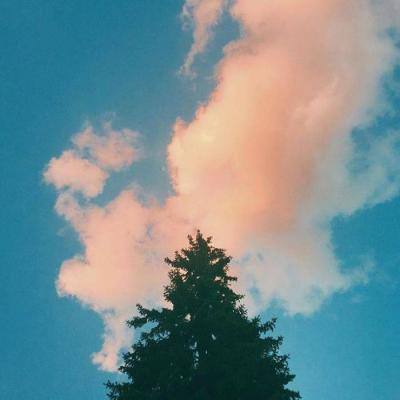 彩神8官网下载手机版