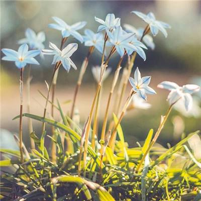 半岛网页版手机app下载