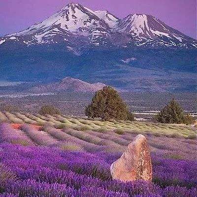 2023年香港资料精准手机app下载